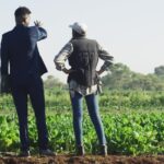 Les 7 erreurs fatales qui ruinent la rentabilité des fermes africaines