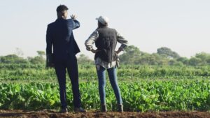 Read more about the article Les 7 erreurs fatales qui ruinent la rentabilité des fermes africaines