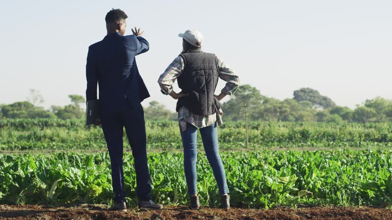 Read more about the article Les 7 erreurs fatales qui ruinent la rentabilité des fermes africaines