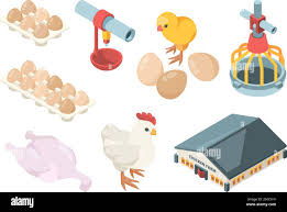 Read more about the article Planifier sa ferme comme une entreprise (même à petite échelle)